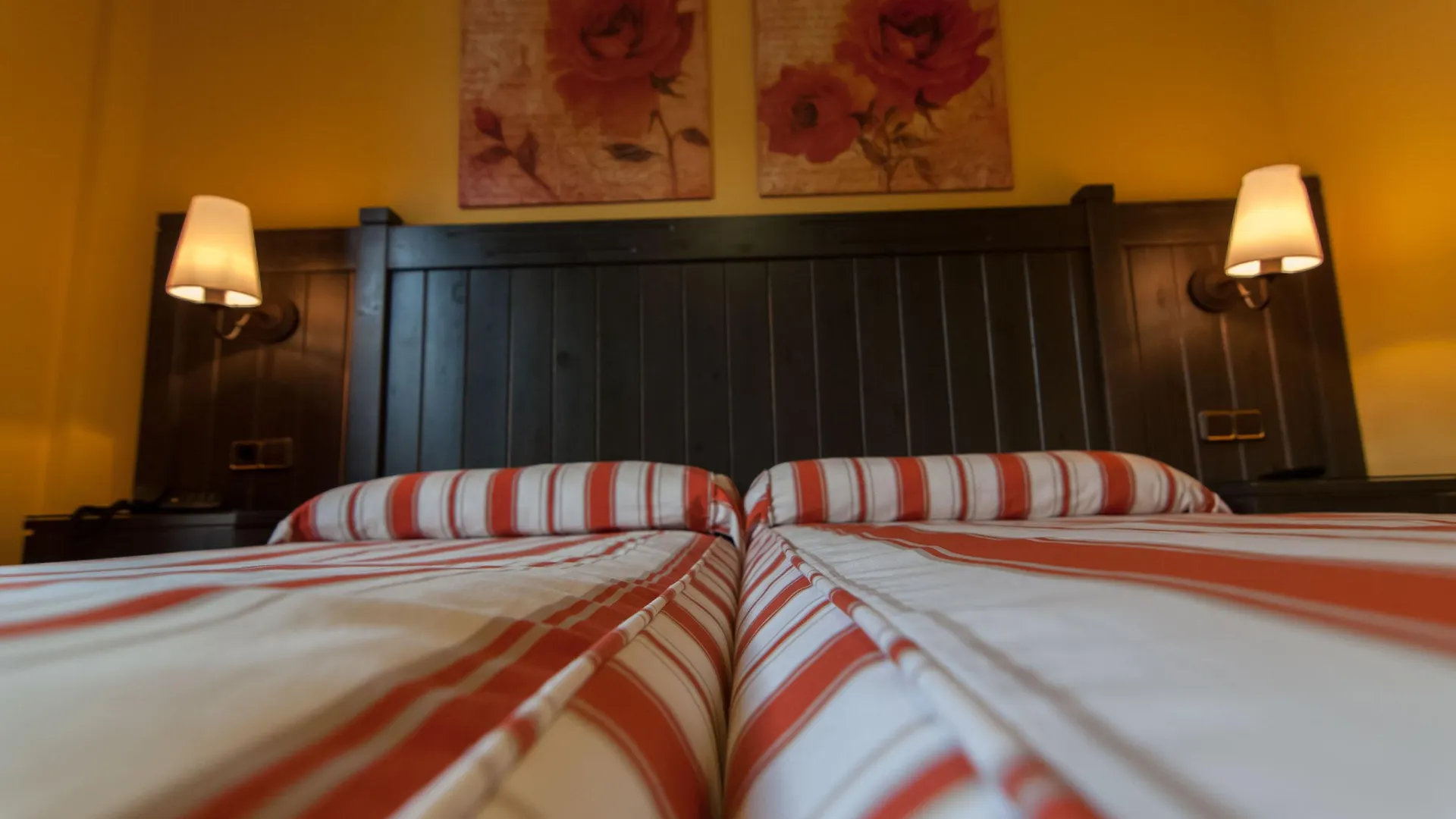 Hotel Viella